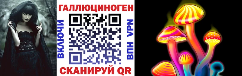 ОМГ ОМГ ТОР  Нальчик  Галлюциногенные грибы мицелий 