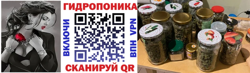 Бошки Шишки план  Нальчик 